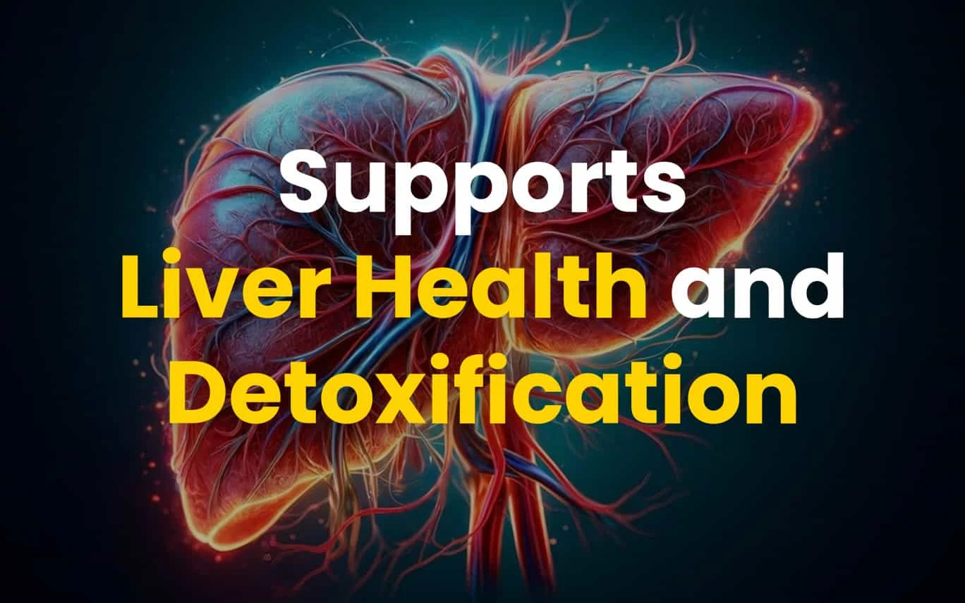Liver Fix